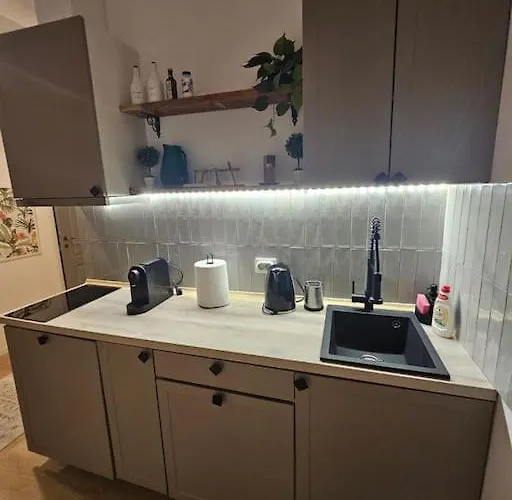 Heart Of Center 4br 2bath Lägenhet Bukarest